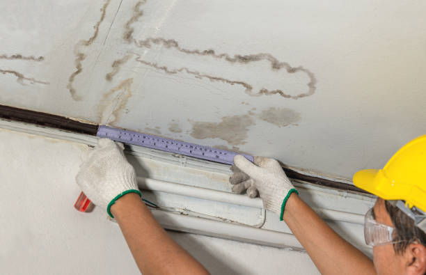Reliable Water Damage Repair contractor in Eagan, MN by Hirex Water Damage